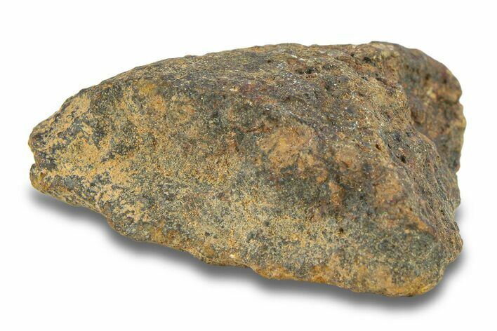 Gold Basin Chondrite Meteorite ( g) - Arizona #282830